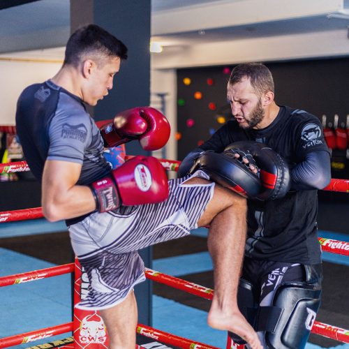Mixed Martial Arts MMA Training
